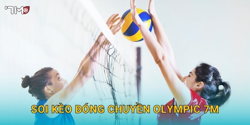 Soi kèo bóng chuyền Olympic 7M