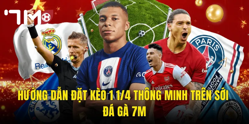 Hướng Dẫn Đặt Kèo 1 1/4 Thông Minh Trên Sới Đá Gà 7m