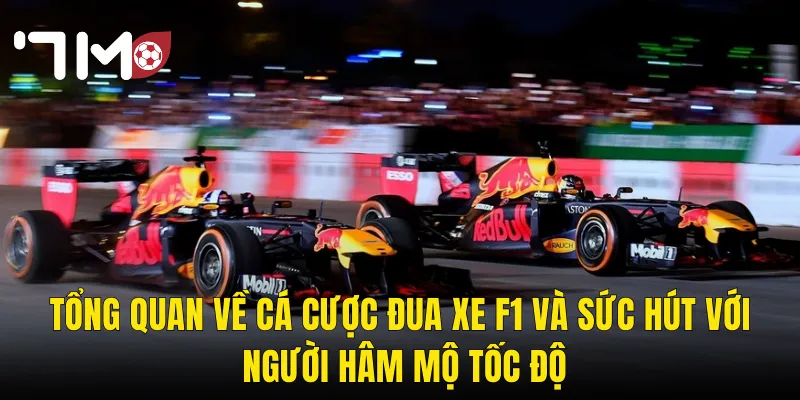 Cá Cược Đua Xe F1 Tại 7m – Tốc Độ Nghẹt Thở Và Cơ Hội Thắng Lớn Mỗi Chặng 2 Tổng Quan Về Cá Cược Đua Xe F1 Và Sức Hút Với Người Hâm Mộ Tốc Độ